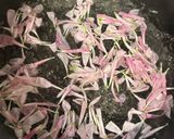 おせちに♪鯛のみぞれ餡掛け作り方1写真