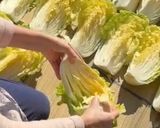 母直伝 自家製白菜漬け作り方1写真