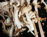 米粉で作れば、キノコと里芋のグラタン作り方4写真