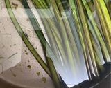 わらびの穂先の白だし和え作り方1写真
