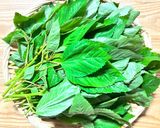 モロヘイヤを食べよう！作り方1写真