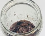 ブルーベリー甘酒🫐アサ○ーボール風★発酵作り方7写真