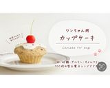 レンジで超簡単✨30分で作れる犬用ケーキ作り方12写真