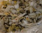 自家製白菜漬けの酸菜白肉鍋作り方1写真
