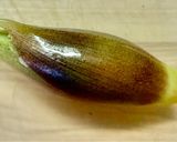 夏の薬味と青唐辛子の爽快プルコギそうめん作り方5写真