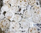 材料3つ❁⃘れんこんのツナねぎ挟み揚げ♬作り方5写真
