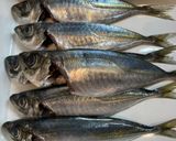 鯵の唐揚げ作り方1写真