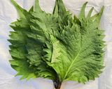 大葉 簡単長持ち保存!作り方6写真
