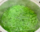 カラスノエンドウのグリーンカレー作り方1写真