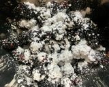 小麦粉&卵フリーなブラックベリーコブラー作り方5写真