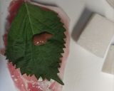 長芋の梅じそ豚肉巻き作り方2写真