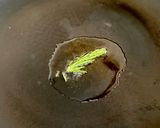 魚屋レシピ*白身魚のふっくら、ピカタ♪作り方4写真