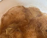 とうもろこしのひげ茶作り方5写真