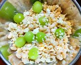 発酵あんこ　発芽玄米麹・干しぶどう等使用作り方12写真
