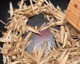 きんぴらごぼう作り方7写真