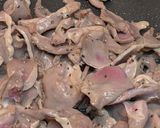 砂ズリのキムチ炒め作り方1写真