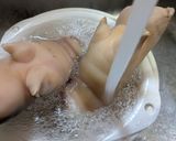 とろとろ豚足作り方2写真