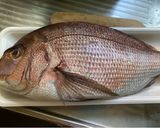 嬉しい日は鯛の蒸し料理!我が家の定番作り方1写真