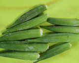 レンジで☆オクラとツナのごまマヨサラダ作り方1写真