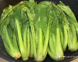 沢山食べれる★小松菜と豆もやしの塩ナムル作り方11写真