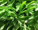 ♻️保存法｜シャク/コジャク🌿山菜大量の時作り方3写真