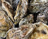 手作りポン酢の牡蠣のこんぶ蒸し作り方1写真