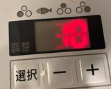 トマト缶でトマト煮作り方11写真