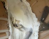 殻付き牡蠣の酒蒸しポン酢醤油作り方4写真