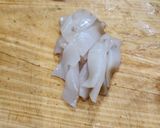 スルメイカと夏野菜のスープ作り方3写真