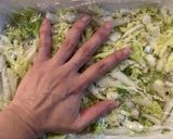 箸休めに⭐︎白菜の和風ザワークラウト作り方8写真