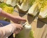 母直伝 自家製白菜漬け作り方1写真