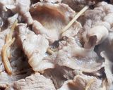 千切り生姜とにんにく入り☆豚肉の生姜焼き作り方2写真
