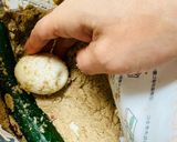 糠(ぬか)りない⁉️たまご🥚🤣😂🤣😂作り方4写真