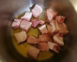 豚肉と大根の煮物♪大根一本!作り方2写真