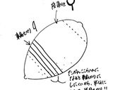 ポンのはちみつ檸檬作り方1写真
