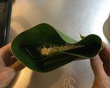 沖縄月桃あくまき（甘納豆入り追加）作り方5写真