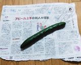 野菜保存方法。長生き活き!作り方6写真