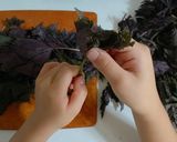 子どもと旬を楽しむ 赤しそジュース作り方1写真