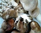 簡単ヘルシーキノコのオイスターソース炒　作り方1写真