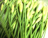 値段がつけられない贅沢！花ニラのおひたし作り方1写真