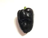 黒ピーマンとホーリーバジル添えサラダ。作り方19写真