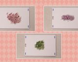 トマトのラーメンサラダ作り方2写真
