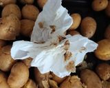 ちびいも大量消費作り方4写真