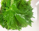 大葉の塩漬け☆長期保存可能☆赤紫蘇でも可作り方4写真