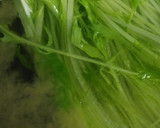水菜と薄揚げさんを昆布茶でたいたんꕤ*作り方4写真