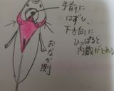 女子高生のお弁当(6日目)作り方4写真
