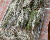 【ダイエットにgood！】おかわかめ餃子作り方7写真