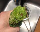 真！無限豆苗の作り方作り方1写真