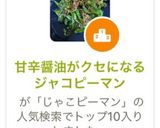 甘辛醤油がクセになるジャコピーマン作り方7写真