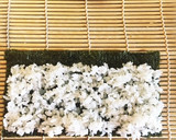 変わり種、明太マヨと胡瓜の細巻作り方3写真